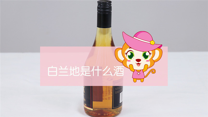 白兰地是什么酒