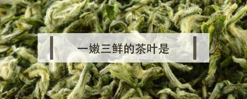 一嫩三鲜的茶叶是