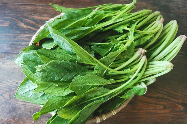 菠菜豆腐相克吗，菠菜相克的食物有哪些