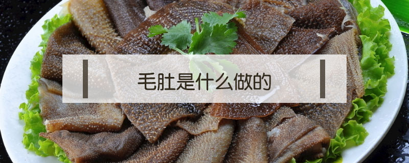 毛肚是什么做的