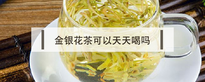 金银花茶可以天天喝吗