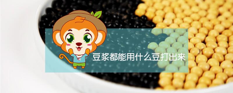 豆浆都能用什么豆打出来