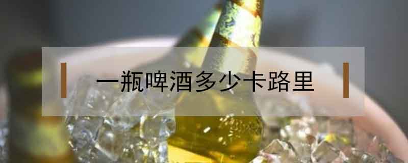 一瓶啤酒多少卡路里