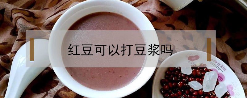 红豆可以打豆浆吗