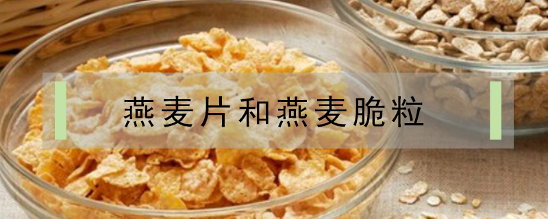 燕麦脆粒和燕麦片区别