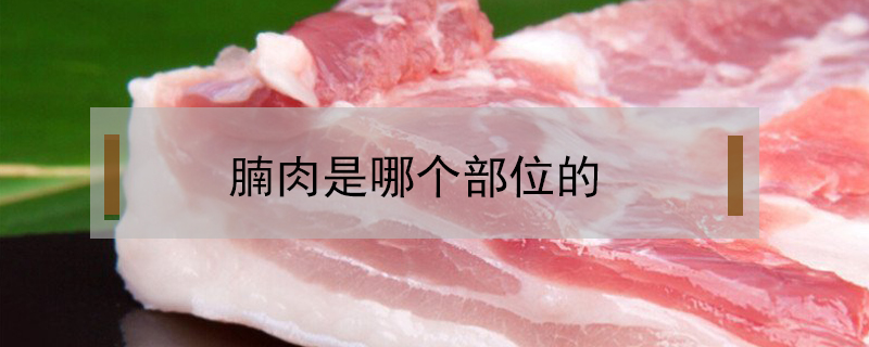 腩肉是哪个部位的