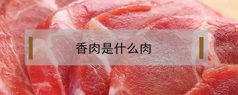 香肉是什么肉