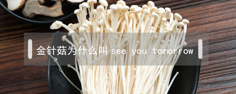 金针菇为什么叫see you tomorrow