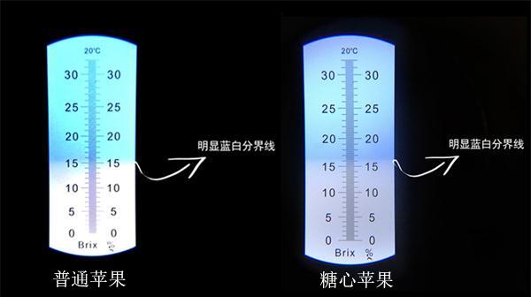 普通苹果和糖心苹果的区别