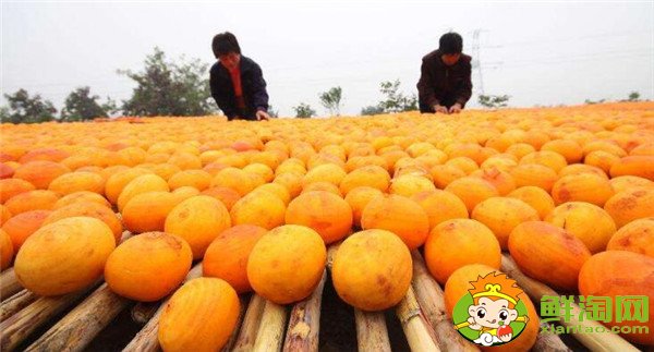 柿子饼怎么做，柿子饼的做法(五步轻松学会)