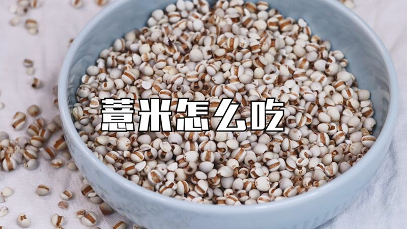 薏米怎么吃