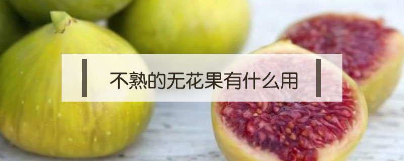 不熟的无花果有什么用