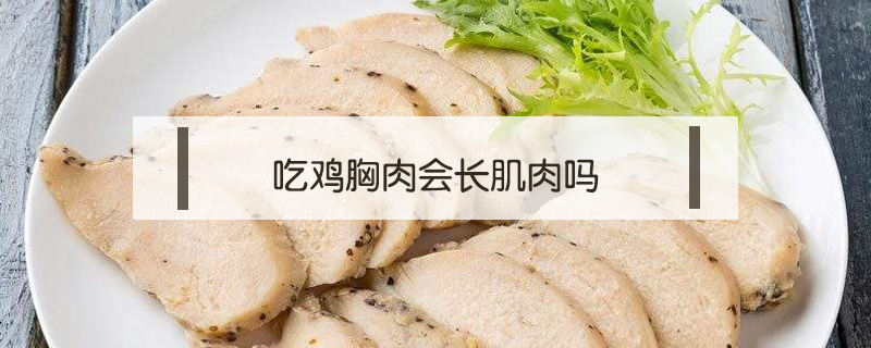 吃鸡胸肉会长肌肉吗