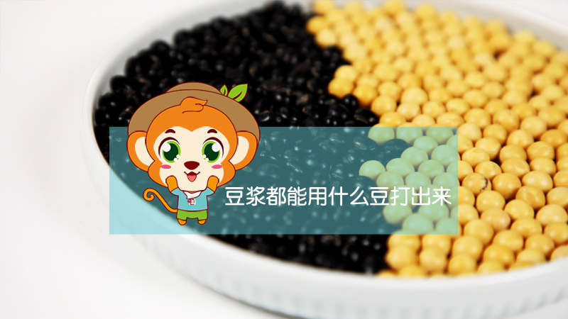 豆浆都能用什么豆打出来