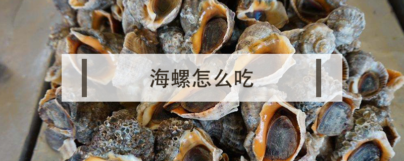 海螺怎么吃