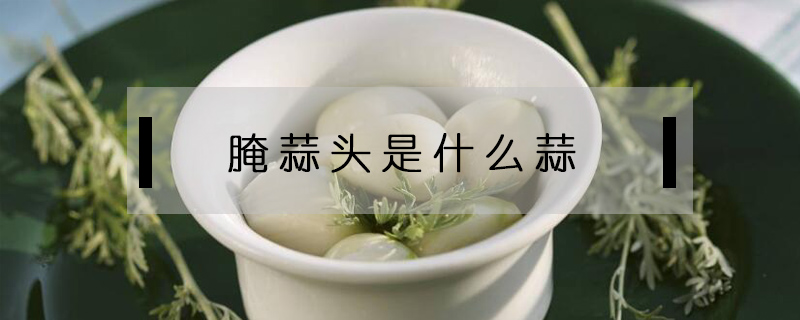 腌蒜头是什么蒜