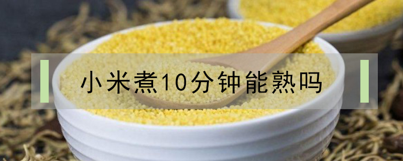 小米煮10分钟能熟吗