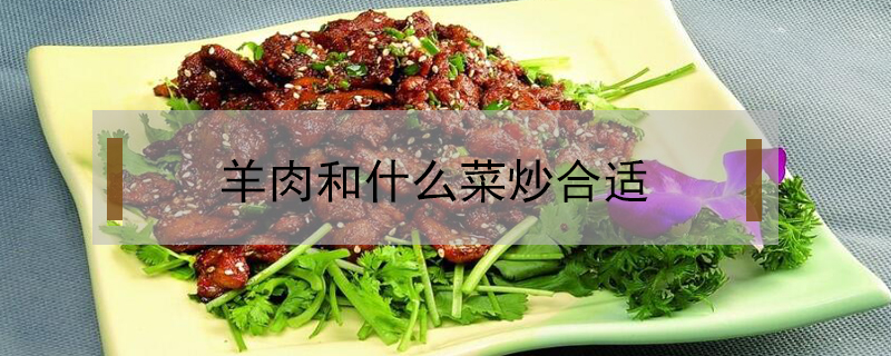 羊肉和什么菜炒合适