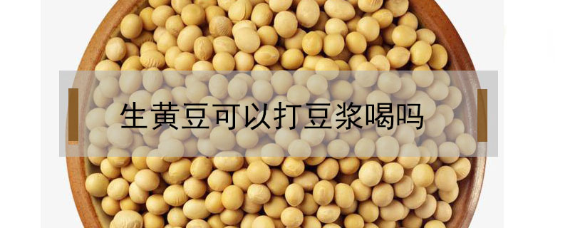 生黄豆可以打豆浆喝吗