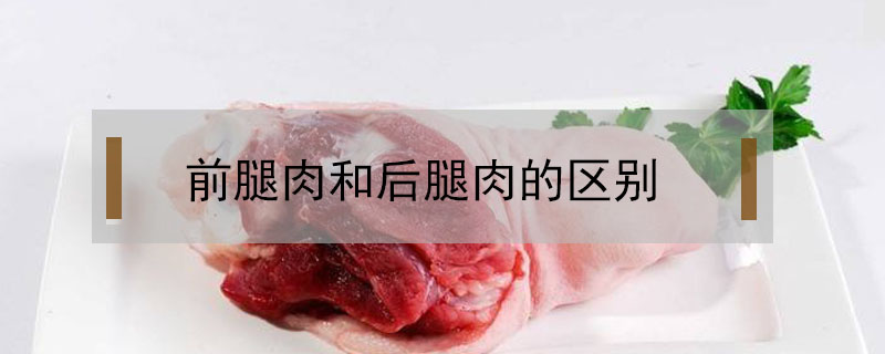 前腿肉和后腿肉的区别