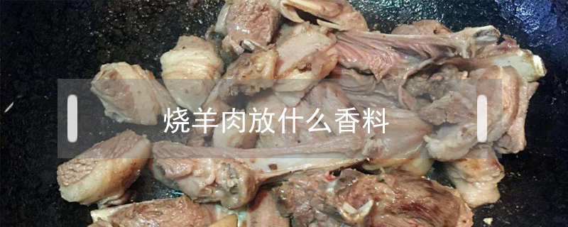 烧羊肉放什么香料