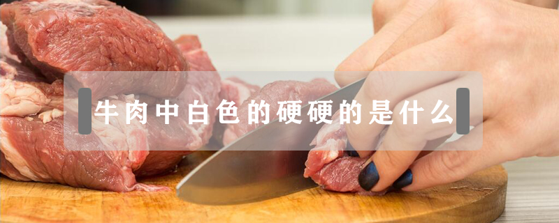 牛肉中白色的硬硬的是什么