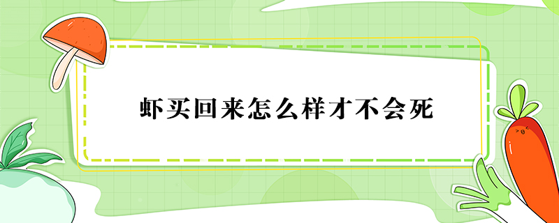 虾买回来怎么样才不会死